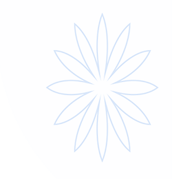 BB视讯(中国区)官方网站