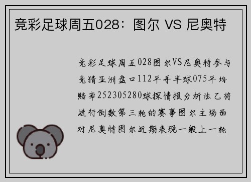 竞彩足球周五028：图尔 VS 尼奥特